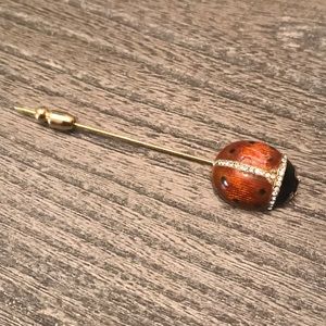Metropolitan museum of art ladybug brooch